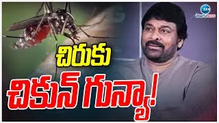 Chiranjeevi suffering with Chikungunya Fever | త్వరగా కోలుకోవాలంటున్న ఫ్యాన్స్ | ZEE News
