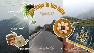 TRAVEL VLOG *part 1* | Kurseong 🏔 | Margaret's Deck 🥮 | first flush 🍵