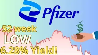 Pfizer Stock is at a 52 Week Low! | Pfizer (PFE) Stock Analysis! |