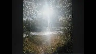 Evankelista
