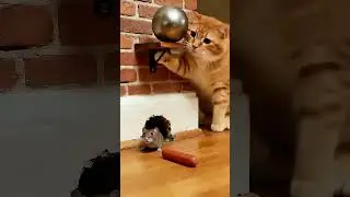 Stealing Chicken Fails#orangecat #animals&rsquo; confusing behavior #cat and mouse #ai animation #creativ