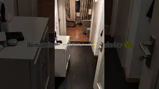 Meine beiden J&auml;ger☺️#Katzen#KatzenVideos#Tiere#Tierliebe#Gassi#Beutetier#Beute#Jagt#J&auml;ger
