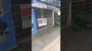 PUC centre & Insurance centre #shorts #shortvideo ❤️❤️😲🙏👌🤟😘👏😍