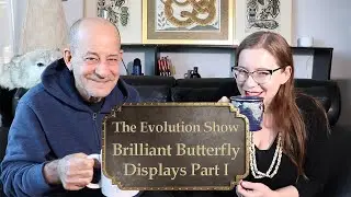 The Evolution Show Ep23 - Brilliant Butterfly Displays Part I