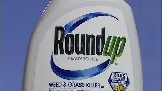 Plaintiff awarded more than $289.2M in damages in Monsanto weed killer case