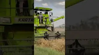 kartar 4000 harvester kesi ha new model me bs4 me 🌾#shortsfeed #shortvideos #shorts #shortvideo