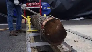 Hud-Son Forest Freedom Line Sawmill