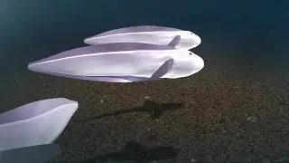 Translucent fish with no scales found in Pacific Ocean