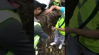 A day in a life of a Forestry student 🌻✨