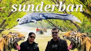 Sundarban Travel Vlog | निसर्गाचा अद्भुत चमत्कार