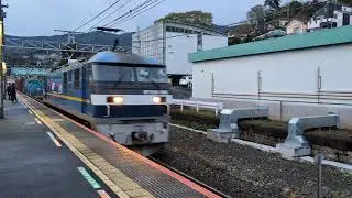 早朝の根府川駅を通過するEF210-306とゴトゴト引っ張られるコンテナ車🚆