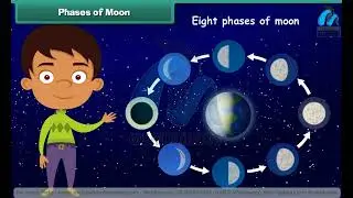 Class 4th EM EVS Natural Changes