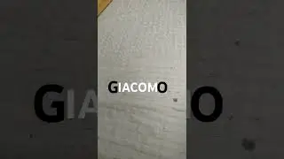 maaaaa?!IACOM