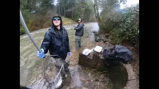Caleb catching chrome at the hatchery