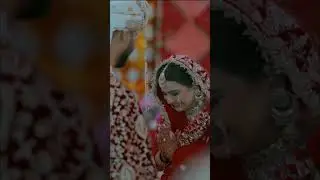 #shortsvideo #shorts #wedding #couple #love #triplerphotography #treding #viralvideo #fyp #reels