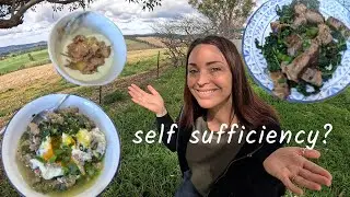 Australian Homestead | Eating for Free? | A Full Day's Menu from our Small Farm