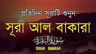ঘরের উন্নতির জন্য সূরা বাকারা প্রতিদিন শুনুন I Surah Al Baqarah Full Quran Recitation | Alaa Aqel
