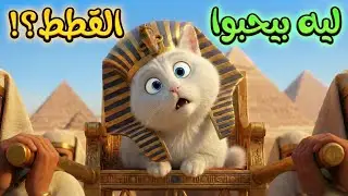 بيحلقوا حواجبهم حزناً عليها؟! ليه القدماء المصريين كانوا بيقدسوا القطط؟