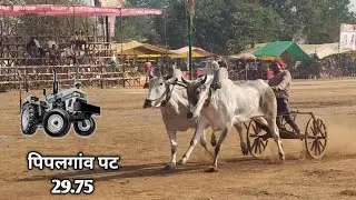 पिपलगांव पट 29.75अजीम पटेल बिहिरिया डुंगरिया सेरा pat pratiyogita with ritik 🚩