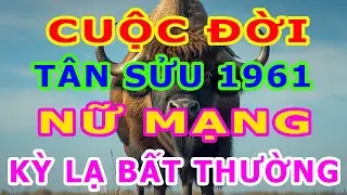 Tử Vi Trọn Đời Nữ Mạng Tuổi Tân Sửu 1961 Một Cuộc Đời Kỳ Lạ