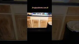 kitchen cabinet painting Before and After ✨❤️😁 uglycabinets.com sw-7005 pure white