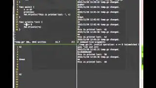 A basic explanation of pointers in Go.