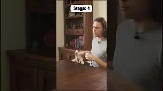 5 стадий игры в кости ГОБЛИНА