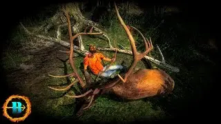 Huge Elk And LEADERBOARDS Coyote in the GOLDEN TREESTAND! | TheHunter Classic!