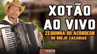 ZEQUINHA DO ACORDEON - NO MELHOR DO XOTÃO APAIXONADO ( AO VIVO NO BREJO )
