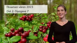 Matematikk 2P-Y: Eksamensoppgave om modellering ev en potensfunksjon