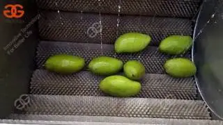 small model  mango washing machine|mango cleaning machine|mango process machine