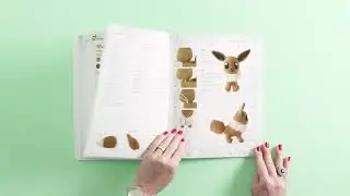Pok&eacute;mon Crochet Book - Book Flip