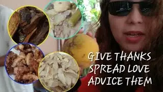 FRUITS GIVE AWAY part2... #friendly #advice #happy #eatingtrip #respectful |Neries Journey