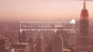 Lil Dicky ft. Snoop Dogg - Professional Rapper [BASS BOOSTED]