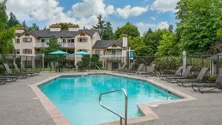 Shadowbrook