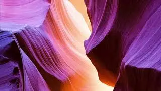 Bloom - Psychedelic Rock