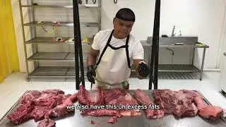 Distinguishing Parts of a Half Pork Carcass | SWINE BUTCHERY