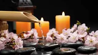 Zen Ocean Harmony Bamboo Fountain and Candle Glow for Healing Meditation Sleep Deep Serenity