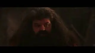 NO PER ME &Egrave; MORTO NO &Egrave; ANCORA IN CIRCOLAZIONE HAGRID