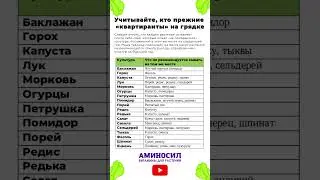 ХУДШИЕ места для НОВОЙ рассады! #сад #огород #рассада