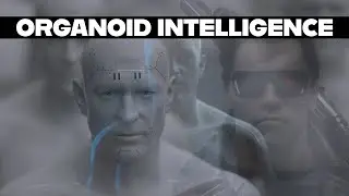 Organoid Intelligence Overtaking AI