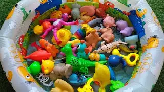 Learn Sea Animal Names for Kids Crab Blue Whale Great White Shark