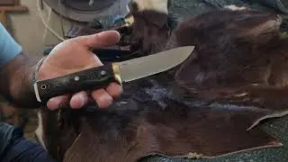 F Hunter
