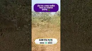 Clear Title Plots - Pune, Mumbai & Konkan | 8805988805 #shorts #viralshorts