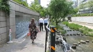 Seoul Walking: Dongdaemun Design Plaza and Cheonggyecheon Stream from Dongdaeum to Gwangwhamun