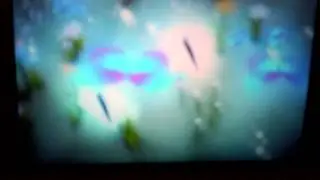 3D Visual Experience