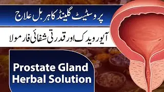 Prostate Gland Herbal Solution | Ayurvedic & Natural Healing Formula | Pakistan Life