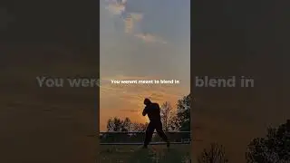 You werent meant to blend in #motivation #mindset #viral #success #discipline follow for more