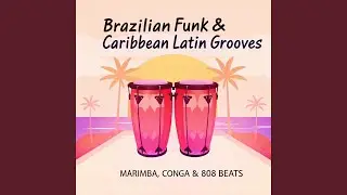 Powerful Brazilian Funk &ndash; Latin Energy & Reggaeton Vibe Fusion (Brazilian Funk, Instrumental)