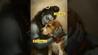Lord Shiva ❤️ Dogs 🐶 #shorts #viral #video #god #love #dogs